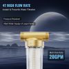 VEVOR Spin Down Filter, 40 Micron + 30 Micron Fine Filtration, Whole House Sediment Filter for Well Water, 3/4" FNPT + 1" MNPT, 4 T/H High Flow Rate